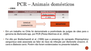 Pesquisa de Infecção por Bartonella em mamíferos domésticos, silvestres e em ectooparasitas no Semiárido Pernambucano