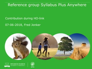 Reference group Syllabus Plus Anywhere
Contribution during HO-link
07-06-2018, Fred Jonker
 