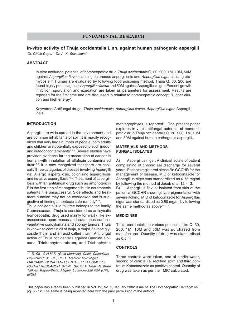 audio essay writing pdf notes