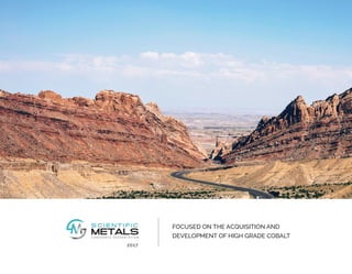FOCUSED ON THE ACQUISITION AND
DEVELOPMENT OF HIGH GRADE COBALT
2017
 