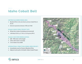 10STM:TSX-V
Idaho Cobalt Belt
HISTORIC BLACKBIRD MINING AREA:
•	 Blackbird Mine is the only historic primary Cobalt Mine in
the US
•	 Extensive operations between 1902 and 1968
ECobalt’s IDAHO COBALT PROJECT (ICP):
•	 All permits in place (including environmental)
•	 3.48 Mt@ 0.55% Co, 0. 75% Cu, 0.531 git Au (M+I)
ECobalt’s RAM ZONE MINERALIZATION:
•	 600 - 900 meter strike length
•	 150 to 365 meters vertically
•	 1 to 6 meters true width
INTERNATIONAL COBALT’S BLACKBIRD CREEK PROJECT:
•	 Immediately south of historic Blackbird Mine
•	 Adjacent and south of eCobalt’s Idaho Cobalt Project
 