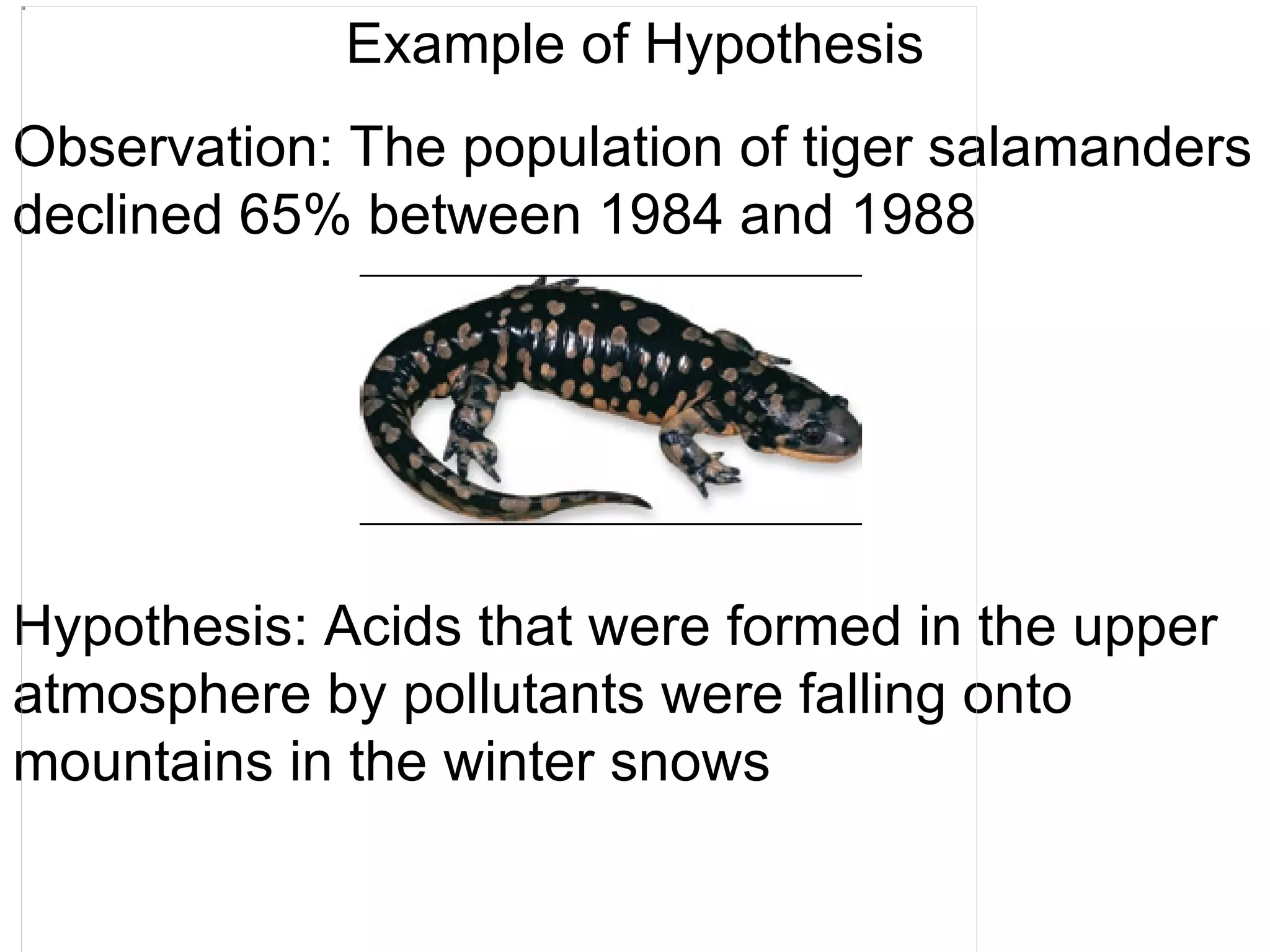 Example of Hypothesis Observation: The population of tiger salamanders declined 65% between 1984 and 1988 Hypothesis: Acids that were formed in the upper atmosphere by pollutants were falling onto mountains in the winter snows 