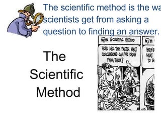 The  Scientific Method The scientific method is the way  scientists get from asking a  question to finding an answer.  