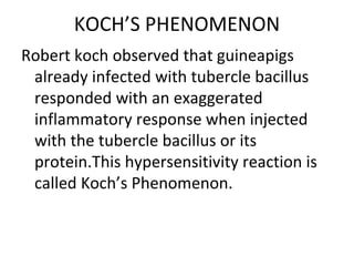 KOCH’S PHENOMENON Robert koch observed that guineapigs already infected with tubercle bacillus responded with an exaggerated inflammatory response when injected with the tubercle bacillus or its protein.This hypersensitivity reaction is called Koch’s Phenomenon. 