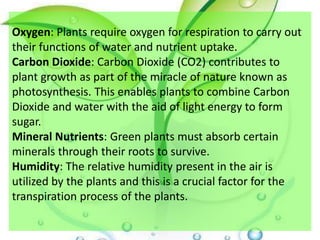 Oxygen: Plants require oxygen for respiration to carry out
their functions of water and nutrient uptake.
Carbon Dioxide: Carbon Dioxide (CO2) contributes to
plant growth as part of the miracle of nature known as
photosynthesis. This enables plants to combine Carbon
Dioxide and water with the aid of light energy to form
sugar.
Mineral Nutrients: Green plants must absorb certain
minerals through their roots to survive.
Humidity: The relative humidity present in the air is
utilized by the plants and this is a crucial factor for the
transpiration process of the plants.
 