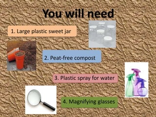 You will need
1. Large plastic sweet jar



              2. Peat-free compost


                  3. Plastic spray for water


                      4. Magnifying glasses
 