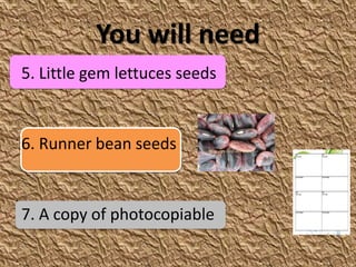 You will need
5. Little gem lettuces seeds


6. Runner bean seeds


7. A copy of photocopiable
 
