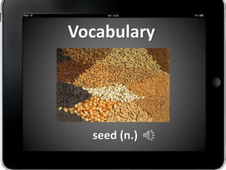 Vocabulary




  seed (n.)
 