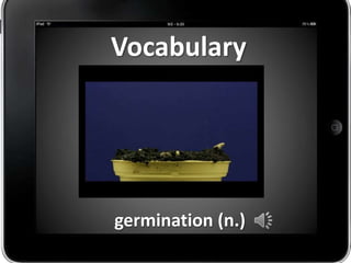 Vocabulary




germination (n.)
 