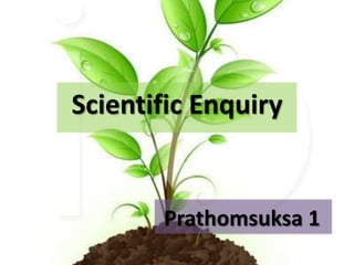 Scientific Enquiry


       Prathomsuksa 1
 
