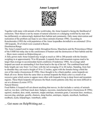 Amur Leopard
Together with many wild animals of the world today, the Amur leopard is facing the likelihood of
extinction. Their threat is not by means of natural selection or a changing world but by man who
has deliberately or unknowingly depleted their habitat and community. Only mans intervention and
realization of the problem can hope to save these animals (Garman 1996). According to
Kutscherenko (1995) the wild population of the Amur leopardhas dwindled to an estimated 120 to
140 leopards, 30 of which were counted in Russia.
Distribution/Range
The Amur Leopard used to range widely throughout Korea, Manchuria and the Primorskaya Oblast
of the USSR but today due to the carelessness of hunters and the destruction of their habitat and the
... Show more content on Helpwriting.net ...
A fully grown male Amur leopard may weigh as much as 100 to 200 pounds with the females
weighing in at approximately 70 to 80 pounds. Leopards from cold mountain regions tend to be
larger than average to accommodate harsh conditions (Vandermey 1996). An average adult
leopard can reach an outstanding 8 feet from head to the tip of the tail. The combined head and
body length can vary from 3 to 6 feet; with the tail averaging 23 to 44 inches. Standing, from feet
to shoulder they can reach a height of 18 to 32 inches, again with the females being a third the
size of the males (Anonymous B 1996). Once thought to be a black panther, some leopards are
black all over. Borne from the same litter as normal leopards the black color is a result of an
recessive gene which seems to appear more often with leopards living in deep forest and mountain
regions. These black leopards still possess the black rosette patterns only they are more difficult to
see at a distance (Loxton 1973).
Natural History
Food Habits A leopard will eat almost anything that moves, its diet includes a variety of animals
such as: roe deer, wild boar muck deer, badgers, raccoons, manchurian hares (Anonymous B 1996);
squirrel, muskrat, deer, mink, marmots, steppe antelope, mountain goats, Caucasian deer, monkeys,
raccoon dog, antelope, gazelle, chamois, dung beetles, antelopes, impala, steenbuck, bushbuck,
reedbuck, nyala, klipspringer, waterbuck, zebra
... Get more on HelpWriting.net ...
 