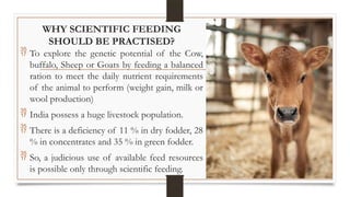 scientific_feeding of animals[1][1].pptx