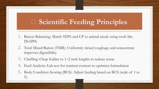 scientific_feeding of animals[1][1].pptx