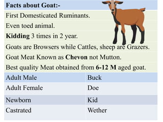 Scientific Goat Farming | PPT