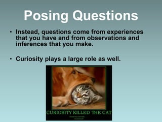 Posing Questions
• Instead, questions come from experiences
that you have and from observations and
inferences that you make.
• Curiosity plays a large role as well.
 