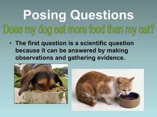 Posing Questions
• The first question is a scientific question
because it can be answered by making
observations and gathering evidence.
 