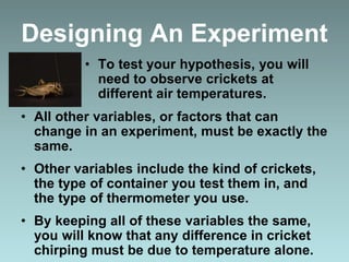 Designing An Experiment
• To test your hypothesis, you will
need to observe crickets at
different air temperatures.
• All other variables, or factors that can
change in an experiment, must be exactly the
same.
• Other variables include the kind of crickets,
the type of container you test them in, and
the type of thermometer you use.
• By keeping all of these variables the same,
you will know that any difference in cricket
chirping must be due to temperature alone.
 