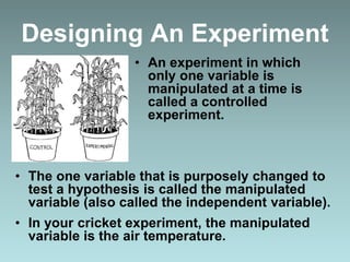 Designing An Experiment
• An experiment in which
only one variable is
manipulated at a time is
called a controlled
experiment.
• The one variable that is purposely changed to
test a hypothesis is called the manipulated
variable (also called the independent variable).
• In your cricket experiment, the manipulated
variable is the air temperature.
 
