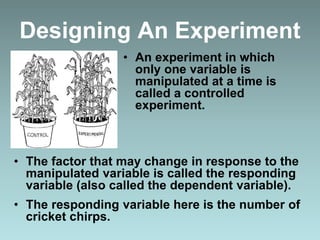 Designing An Experiment
• An experiment in which
only one variable is
manipulated at a time is
called a controlled
experiment.
• The factor that may change in response to the
manipulated variable is called the responding
variable (also called the dependent variable).
• The responding variable here is the number of
cricket chirps.
 