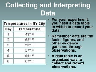 Collecting and Interpreting
Data
• For your experiment,
you need a data table
in which to record your
data.
• Remember data are the
facts, figures, and
other evidence
gathered through
observations.
• A data table is an
organized way to
collect and record
observations.
 