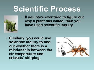 • If you have ever tried to figure out
why a plant has wilted, then you
have used scientific inquiry.
• Similarly, you could use
scientific inquiry to find
out whether there is a
relationship between the
air temperature and
crickets’ chirping.
Scientific Process
 