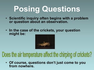 Posing Questions
• Scientific inquiry often begins with a problem
or question about an observation.
• In the case of the crickets, your question
might be:
• Of course, questions don’t just come to you
from nowhere.
 