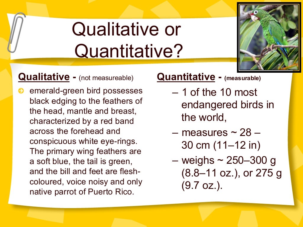 Observation And Inference In Science