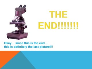 Okay… since this is the end…
this is definitely the last picture!!!
 