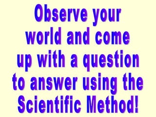 Observe your world and come up with a question  to answer using the Scientific Method! 