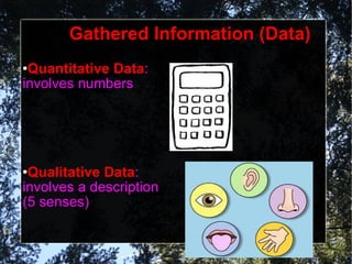 Gathered Information (Data) Quantitative Data : involves numbers Qualitative Data : involves a description (5 senses)