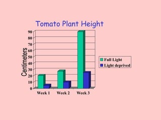 Tomato Plant Height
90
80
70
60
50
                                Full Light
40                              Light deprived
30
20
10
 0
     Week 1   Week 2   Week 3
 