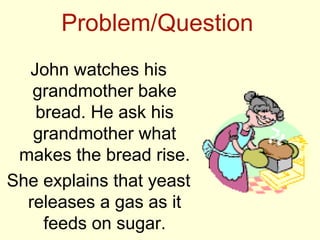 Problem/Question
  John watches his
   grandmother bake
   bread. He ask his
   grandmother what
 makes the bread rise.
She explains that yeast
  releases a gas as it
    feeds on sugar.
 