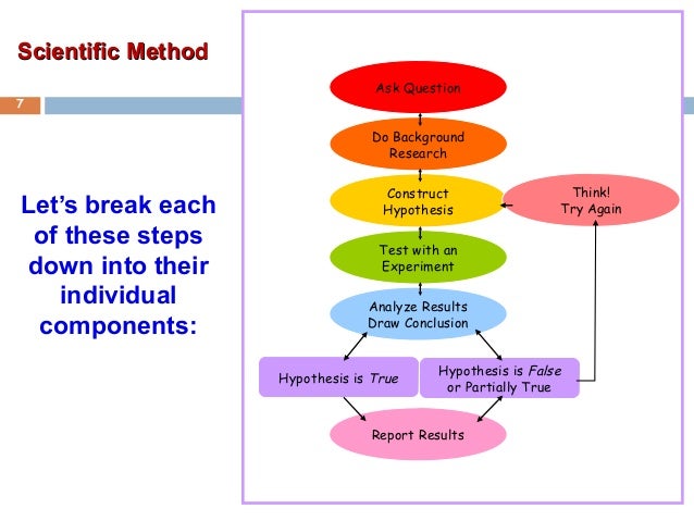 Lab report steps in order