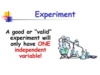 Scientific method (Biology A) | PPTX