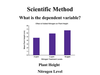 Scientific Method
What is the dependent variable?
Plant Height
Nitrogen Level
 