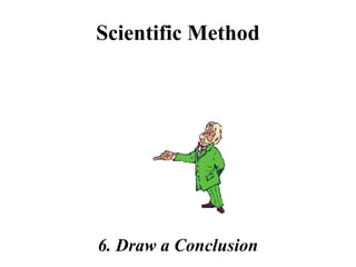 Scientific Method
6. Draw a Conclusion
 