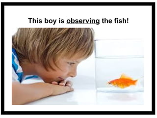 Scientificmethod | PPT | Science