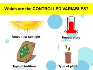 Scientific method | PPTX