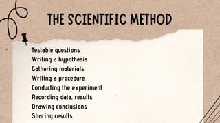 Testable Drawing Scientific Method.pptx