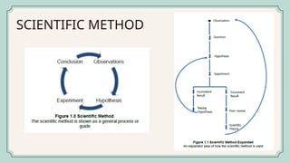 Quarter 1 Module 1 lesson 2 - Scientific method.pptx