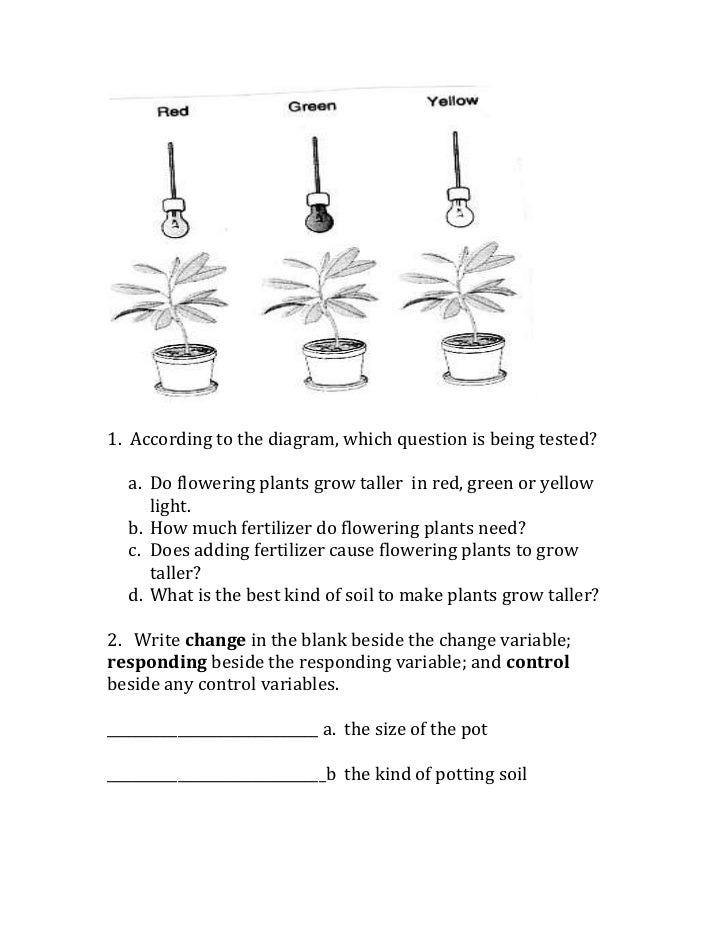 Scientific method variables (worksheet)