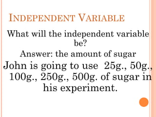 INDEPENDENT VARIABLE
What will the independent variable
be?
Answer: the amount of sugar
John is going to use 25g., 50g.,
100g., 250g., 500g. of sugar in
his experiment.
 