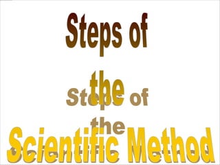 Scientific method(am.)