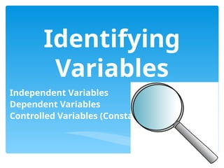 Identifying
Variables
Independent Variables
Dependent Variables
Controlled Variables (Constants)
 