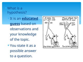  What is a
hypothesis?
 It is an educated
guess based on
observations and
your knowledge
of the topic.
 You state it as a
possible answer
to a question.
 