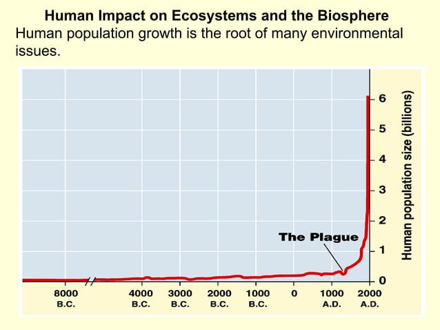 Scientific Method & Graphs | PPT | Biological Sciences | Science