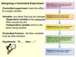 Scientific Method & Graphs | PPT