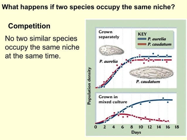 Scientific Method & Graphs | PPT | Biological Sciences | Science