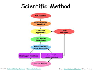 Scientific Method
Data Support Hypothesis
Data DO NOT
Support Hypothesis
Image: Scientific Method Flowchart, Science Buddi...