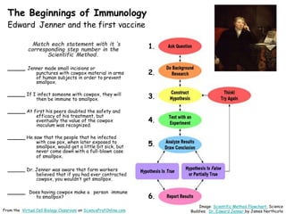 The Beginnings of Immunology
Edward Jenner and the first vaccine
Match each statement with it ’s
corresponding step number...